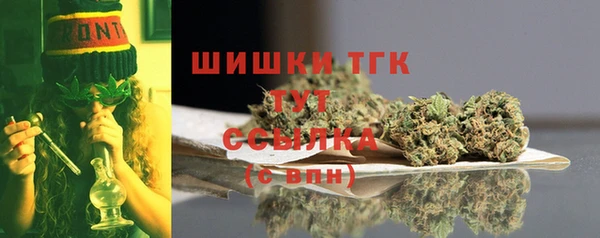экстази Пересвет