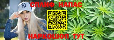 индика Кингисепп