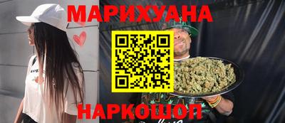 индика Кингисепп