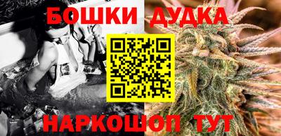 индика Кингисепп