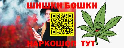 индика Кингисепп