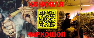 индика Кингисепп