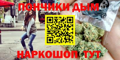 индика Кингисепп