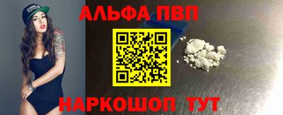индика Кингисепп