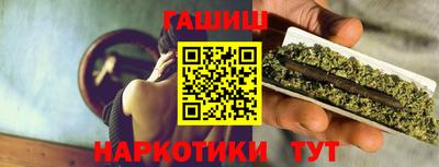 индика Кингисепп