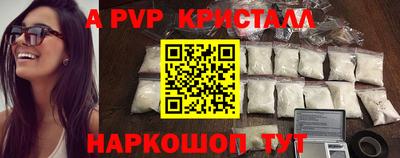 индика Кингисепп