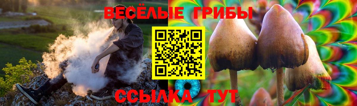 Галлюциногенные грибы Magic Shrooms  Псилоцибиновые грибы GOLDEN TEACHER  Майский  Вход с VPN 