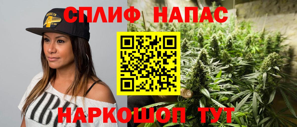 Каннабис план  Бошки марихуана VHQ  МАРИХУАНА сатива  Майский  Вход с VPN 